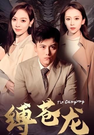 短剧缚苍龙海报