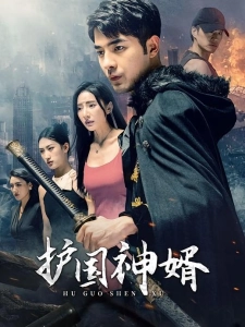 短剧护国神婿海报