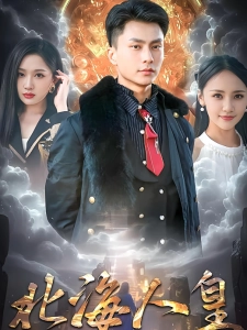 短剧北海人皇海报