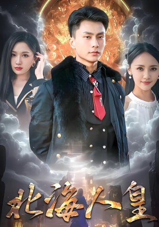 短剧北海人皇海报