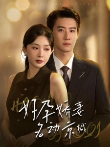 短剧好孕娇妻名动京城海报