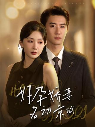 短剧好孕娇妻名动京城海报