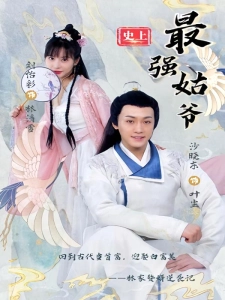 短剧史上最强姑爷海报