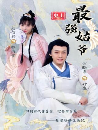 短剧史上最强姑爷海报