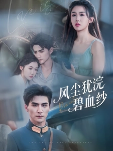 短剧风尘犹浣碧血纱海报