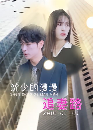 短剧沈少的漫漫追妻路海报