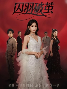 短剧囚羽破茧海报