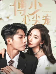 短剧傅少心尖宠海报