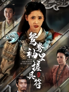 短剧鸳鸯袖里握兵符海报