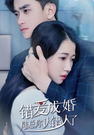 短剧错爱成婚：陆总你认错人了海报