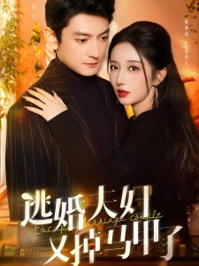 短剧逃婚夫妇又掉马甲了海报