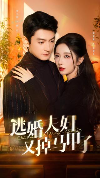 短剧逃婚夫妇又掉马甲了海报