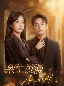 短剧余生漫漫不相见海报
