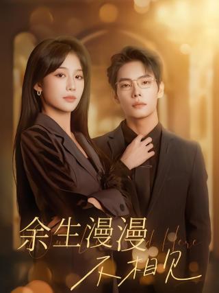短剧余生漫漫不相见海报