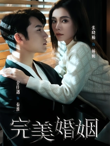 短剧完美婚姻海报