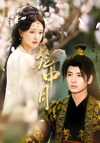 短剧笼中月海报