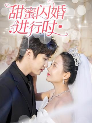 短剧甜蜜闪婚进行时海报