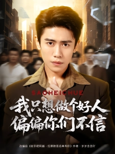 短剧我只想做个好人偏偏你们不信海报