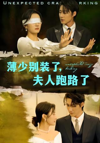 短剧薄少别装了，夫人跑路了海报