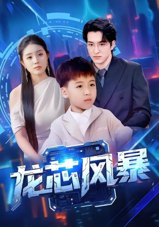 短剧龙芯风暴海报