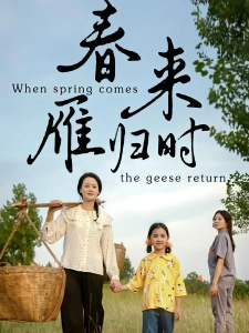 短剧春来雁归时海报