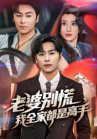 短剧老婆别慌，我全家都是高手海报