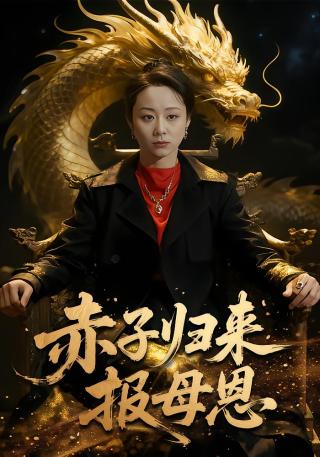 短剧赤子归来报母恩海报