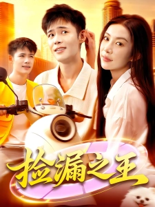 短剧捡漏之王海报