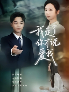 短剧我走了你才说爱我海报