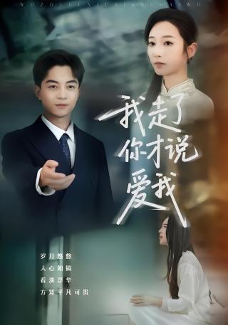 短剧我走了你才说爱我海报