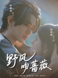 短剧野风吻蔷薇海报