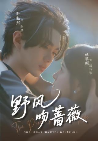 短剧野风吻蔷薇海报