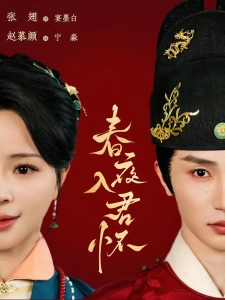 短剧春夜入君怀海报