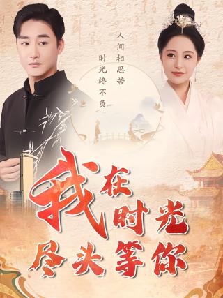 短剧我在时光尽头等你海报