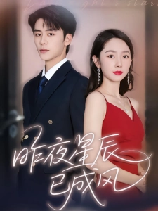 短剧昨夜星辰已成风海报