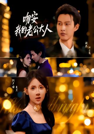 短剧吻安我的老公大人海报