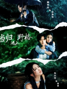 短剧当归遇上野格海报