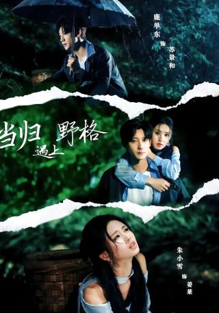 短剧当归遇上野格海报
