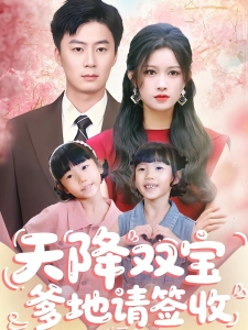 短剧天降双宝爹地请签收海报