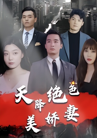 短剧天降绝色美娇妻海报