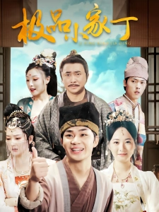 短剧极品小家丁海报