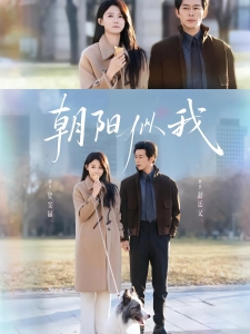 短剧朝阳似我海报