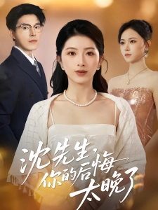 短剧沈先生，你的后悔太晚了海报