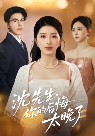 短剧沈先生，你的后悔太晚了海报