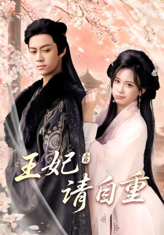 短剧王妃请自重海报