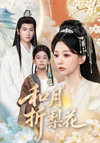 短剧和月折梨花海报