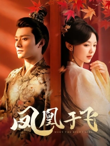 短剧凤凰于飞海报