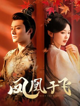 短剧凤凰于飞海报