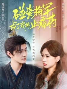 短剧碰瓷将军成了我的止痛药海报