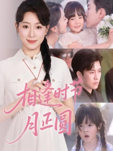 短剧相逢时节月正圆海报